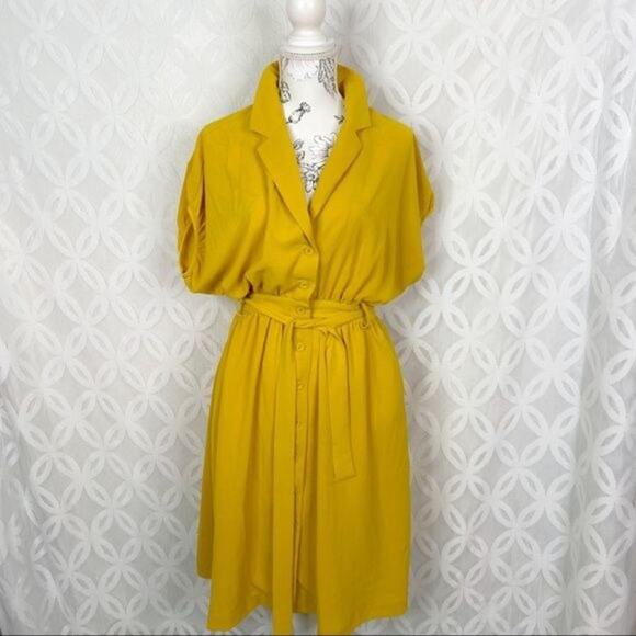 Chriselle Lim x J.O.A Roman Gold Baggy Midi Pocket Shirtdress Size XS - Picture 5 of 13